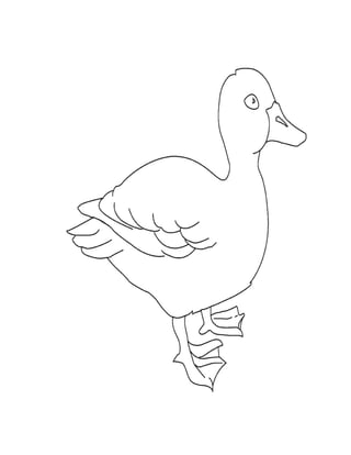 Tarjetas para enseñar