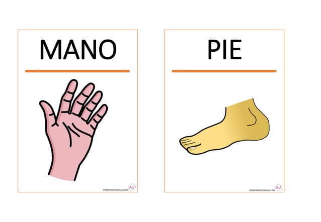 TARJETAS PARTES DEL CUERPO PARA IMPRIMIR.pdf