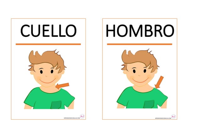 TARJETAS PARTES DEL CUERPO PARA IMPRIMIR.pdf