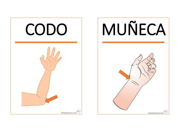 TARJETAS PARTES DEL CUERPO PARA IMPRIMIR.pdf