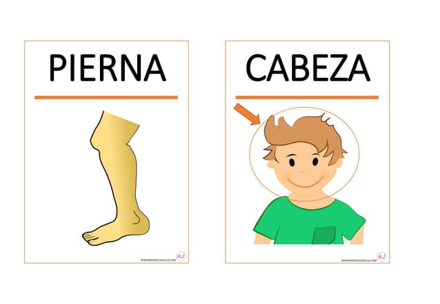 TARJETAS PARTES DEL CUERPO PARA IMPRIMIR.pdf