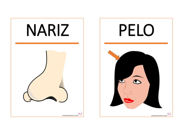 TARJETAS PARTES DEL CUERPO PARA IMPRIMIR.pdf