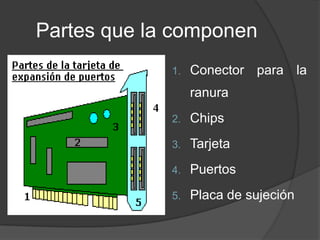 Partes que la componen
             1.   Conector para la
                  ranura
             2.   Chips
             3.   Tarjeta
             4.   Puertos
             5.   Placa de sujeción
 