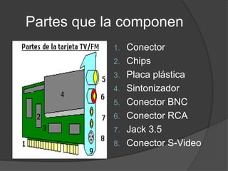 Partes que la componen
            1. Conector
            2. Chips
            3. Placa plástica
            4. Sintonizador
            5. Conector BNC
            6. Conector RCA
            7. Jack 3.5
            8. Conector S-Video
 