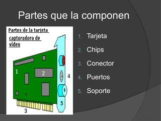 Partes que la componen
           1.   Tarjeta

           2.   Chips

           3.   Conector

           4.   Puertos

           5.   Soporte
 