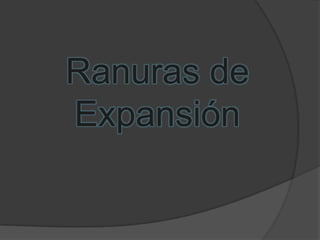 Ranuras de
Expansión
 