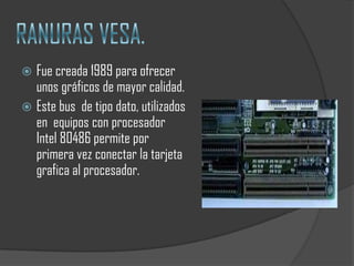  Fue creada 1989 para ofrecer
  unos gráficos de mayor calidad.
 Este bus de tipo dato, utilizados
  en equipos con procesador
  Intel 80486 permite por
  primera vez conectar la tarjeta
  grafica al procesador.
 