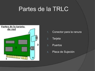 Partes de la TRLC


         1.   Conector para la ranura

         2.   Tarjeta

         3.   Puertos

         4.   Placa de Sujeción
 