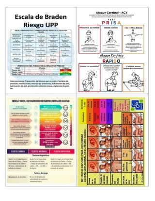 Tarjetero de Enfermeria.pdf Descarga Gratuita