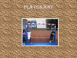 PLA CONJUNT 