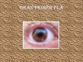 GRAN PRIMER PLA 