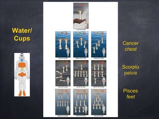 Water/
Cups
Cancer
chest
Scorpio
pelvis
Pisces
feet
 