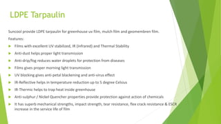 LDPE Tarpaulin
Suncool provide LDPE tarpaulin for greenhouse uv film, mulch film and geomembren film.
Features:
 Films with excellent UV stabilized, IR (Infrared) and Thermal Stability
 Anti-dust helps proper light transmission
 Anti-drip/fog reduces water droplets for protection from diseases
 Films gives proper morning light transmission
 UV blocking gives anti-petal blackening and anti-virus effect
 IR-Reflective helps in temperature reduction up to 5 degree Celsius
 IR-Thermic helps to trap heat inside greenhouse
 Anti-sulphur / Nickel Quencher properties provide protection against action of chemicals
 It has superb mechanical strengths, impact strength, tear resistance, flex crack resistance & ESCR
increase in the service life of film
 