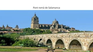 Pont romà de Salamanca
 