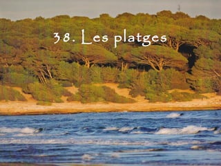 38. Les platges
 