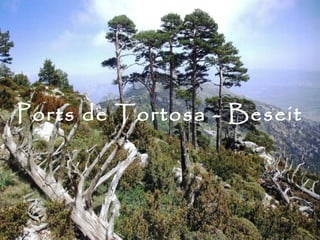 Ports de Tortosa - Beseit
 