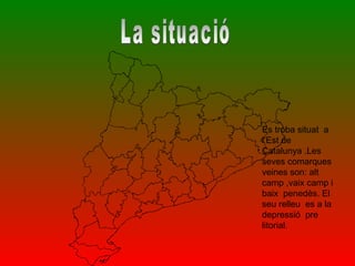 La situació Es troba situat  a  l’Est de Catalunya .Les seves comarques  veines son: alt camp ,vaix camp i baix  penedès. El seu relleu  es a la depressió  pre litorial. 