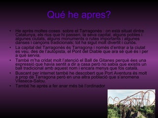 Qué he apres? He après moltes coses  sobre el Tarragonès : on està situat dintre Catalunya, els rius que hi passen, la seva capital, alguns pobles i algunes ciutats, alguns monuments o rutes importants i algunes danses i cançons tradicionals; tot ha sigut molt divertit i curiós.  La capital del Tarragonès és Tarragona i només d’entrar a la ciutat es veu, des de l’autopista, el Pont del Diable que ara sé què és i per a què servia. També m’ha cridat molt l’atenció el Ball de Gitanes perquè ées una expressió que havia sentit a dir a casa però no sabia que existís un ball tradicional amb aquest nom i encara menys que fos català. Buscant per internet també he descobert que Port Aventura és molt a prop de Tarragona però en una altra població que s’anomena Vilaseca-Salou. També´he après a fer anar més bè l’ordinador 