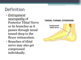 Definition
• Entrapment
neuropathy of
Posterior Tibial Nerve
or its branches as it
passes through tarsal
tunnel deep to the
flexor retinaculum.
• Branches of tibial
nerve may also get
compressed
individually.
 