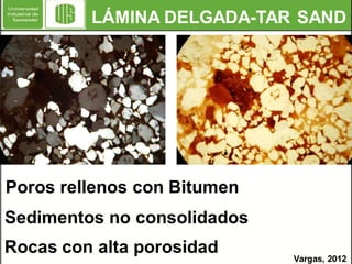LÁMINA DELGADA-TAR SAND

Poros rellenos con Bitumen
Sedimentos no consolidados
Rocas con alta porosidad

Vargas, 2012

 