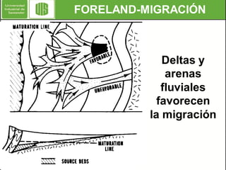 FORELAND-MIGRACIÓN

Deltas y
arenas
fluviales
favorecen
la migración

 