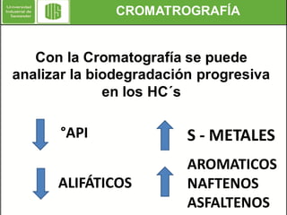 CROMATROGRAFÍA

Con la Cromatografía se puede
analizar la biodegradación progresiva
en los HC´s

°API

S - METALES

ALIFÁTICOS

AROMATICOS
NAFTENOS
ASFALTENOS

 
