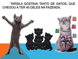 TARSILA GOSTAVA TANTO DE GATOS, QUE
CHEGOU A TER 40 DELES NA FAZENDA.
 