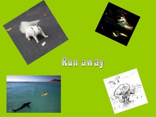 Run away 