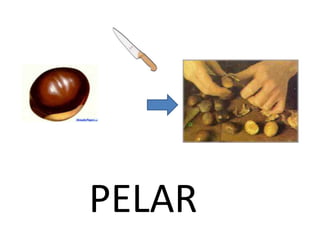    PELAR<br />
