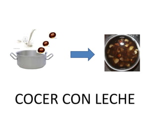 COCER CON LECHE<br />