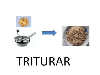  TRITURAR<br />