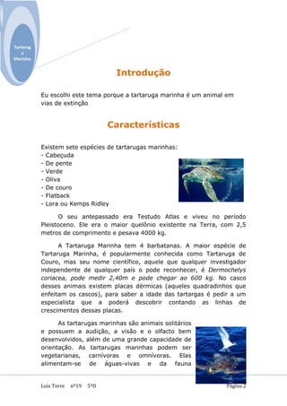 Tartarug
    a
Marinha


                                      Introdução

           Eu escolhi este tema porque a tartaruga marinha é um animal em
           vias de extinção


                                     Características

           Existem sete espécies de tartarugas marinhas:
           - Cabeçuda
           - De pente
           - Verde
           - Oliva
           - De couro
           - Flatback
           - Lora ou Kemps Ridley

                 O seu antepassado era Testudo Atlas e viveu no período
           Pleistoceno. Ele era o maior quelônio existente na Terra, com 2,5
           metros de comprimento e pesava 4000 kg.

                 A Tartaruga Marinha tem 4 barbatanas. A maior espécie de
           Tartaruga Marinha, é popularmente conhecida como Tartaruga de
           Couro, mas seu nome científico, aquele que qualquer investigador
           independente de qualquer país o pode reconhecer, é Dermochelys
           coriacea, pode medir 2,40m e pode chegar ao 600 kg. No casco
           desses animais existem placas dérmicas (aqueles quadradinhos que
           enfeitam os cascos), para saber a idade das tartargas é pedir a um
           especialista que a poderá descobrir contando as linhas de
           crescimentos dessas placas.

                 As tartarugas marinhas são animais solitários
           e possuem a audição, a visão e o olfacto bem
           desenvolvidos, além de uma grande capacidade de
           orientação. As tartarugas marinhas podem ser
           vegetarianas, carnívoras e omnívoras. Elas
           alimentam-se de águas-vivas e da fauna


           Luis Torre   nº19   5ºD                                    Página 2
 