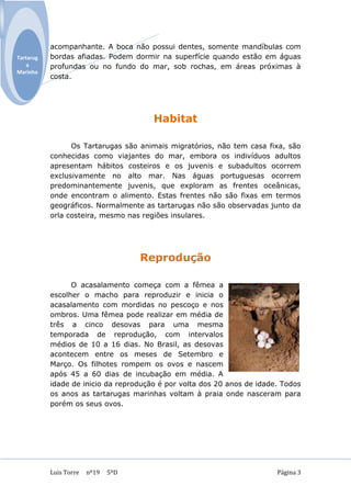 acompanhante. A boca não possui dentes, somente mandíbulas com
Tartarug   bordas afiadas. Podem dormir na superfície quando estão em águas
    a      profundas ou no fundo do mar, sob rochas, em áreas próximas à
Marinha
           costa.




                                       Habitat

                 Os Tartarugas são animais migratórios, não tem casa fixa, são
           conhecidas como viajantes do mar, embora os indivíduos adultos
           apresentam hábitos costeiros e os juvenis e subadultos ocorrem
           exclusivamente no alto mar. Nas águas portuguesas ocorrem
           predominantemente juvenis, que exploram as frentes oceânicas,
           onde encontram o alimento. Estas frentes não são fixas em termos
           geográficos. Normalmente as tartarugas não são observadas junto da
           orla costeira, mesmo nas regiões insulares.




                                     Reprodução

                 O acasalamento começa com a fêmea a
           escolher o macho para reproduzir e inicia o
           acasalamento com mordidas no pescoço e nos
           ombros. Uma fêmea pode realizar em média de
           três a cinco desovas para uma mesma
           temporada de reprodução, com intervalos
           médios de 10 a 16 dias. No Brasil, as desovas
           acontecem entre os meses de Setembro e
           Março. Os filhotes rompem os ovos e nascem
           após 45 a 60 dias de incubação em média. A
           idade de inicio da reprodução é por volta dos 20 anos de idade. Todos
           os anos as tartarugas marinhas voltam à praia onde nasceram para
           porém os seus ovos.




           Luis Torre   nº19   5ºD                                       Página 3
 