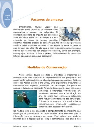 Tartarug
    a
Marinha                          Factores de ameaça

                  Infelizmente,  muitas    vezes   elas
           confundem sacos plásticos ou celofane com
           águas-vivas e morrem por indigestão. O
           conhecimento claro do impacto das diferentes
           artes de pesca sobre as Tartarugas e a sua
           evolução ao longo do tempo permitirá
           desenhar medidas eficazes de conservação. Os filhotes são por vezes
           atraídos pelas luzes das estradas ou dos hotéis na beira da praia, o
           que faz com que eles não vão para o mar e morram, outras vezes os
           filhotes são capturados por predadores naturais, como por exemplo,
           caranguejos, abutres, polvos e peixes, habitualmente de cada cem
           filhotes apenas um consegue sobreviver.




                               Medidas de Conservação

                Neste sentido deverá ser dada a prioridade a programas de
           monitorização das capturas e implementação de programas de
           conservação independente e a abordo dos navios pesqueiros. Está em
           curso nos Açores desde o ano 2000, uma experiencia procurando a
           diminuição das capturas acidentais de tartarugas. Na pesca de
           palangre dirigida ao espadarte foram testados anzóis com diferentes
                                    tamanhos e diferentes combinações. Os
                                    resultados mostram que a modificação da
                                    arte de pesca tem excelentes potenciais
                                    para reduzir a mortalidade das tartarugas.
                                    O impacto da captura com anzol sobre o
                                    comportamento migratório subsequente
                                    continua a ser estudado nos açores.

           Na Madeira está a ser analisado o comportamento de mergulho das
           tartarugas e quantificadas as profundidades mais sensíveis para a
           interacção com os pelangre de pesca. Este estudo tem vindo a
           mostrar que a reprodução do tempo permanecerá dos anzóis nos


           Luis Torre   nº19   5ºD                                      Página 4
 