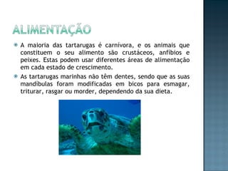A maioria das tartarugas é carnívora, e os animais que constituem o seu alimento são crustáceos, anfíbios e peixes. Estas podem usar diferentes áreas de alimentação em cada estado de crescimento.  As tartarugas marinhas não têm dentes, sendo que as suas mandíbulas foram modificadas em bicos para esmagar, triturar, rasgar ou morder, dependendo da sua dieta. 