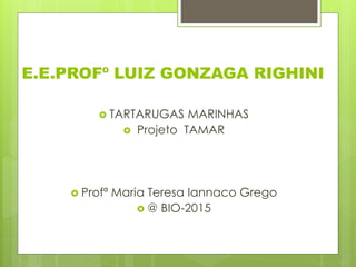 E.E.PROFº LUIZ GONZAGA RIGHINI
 TARTARUGAS MARINHAS
 Projeto TAMAR
 Profª Maria Teresa Iannaco Grego
 @ BIO-2015
 
