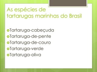 As espécies de
tartarugas marinhas do Brasil
Tartaruga-cabeçuda
Tartaruga-de-pente
Tartaruga-de-couro
Tartaruga-verde
Tartaruga-oliva
 