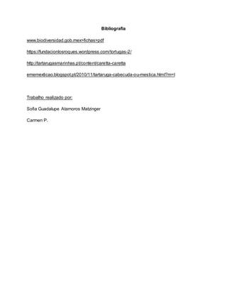 Bibliografia
www.biodiversidad.gob.mex>fichas>pdf
https://fundacionlosroques.wordpress.com/tortugas-2/
http://tartarugasmarinhas.pt/content/caretta-caretta
ememexticao.blogspot.pt/2010/11/tartaruga-cabecuda-ou-mestica.html?m=l
Trabalho realizado por:
Sofia Guadalupe Atamoros Matzinger
Carmen P.
 