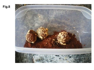 Fig.8 