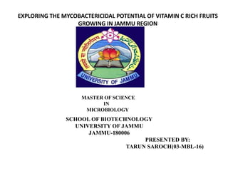 EXPLORING THE MYCOBACTERICIDAL POTENTIAL OF VITAMIN C RICH FRUITS
GROWING IN JAMMU REGION
MASTER OF SCIENCE
IN
MICROBIOLOGY
SCHOOL OF BIOTECHNOLOGY
UNIVERSITY OF JAMMU
JAMMU-180006
PRESENTED BY:
TARUN SAROCH(03-MBL-16)
 