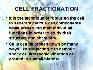 CELL FRACTIONATION
• It is the technique of rupturing the cell
to seperate various cell components
while preserving their individual
functions in order to study their
structure and chemistry.
• Cells can be broken down by many
ways like subjecting it to osmotic
shock or ultrassonic vibration or
ground in a small blender.
 