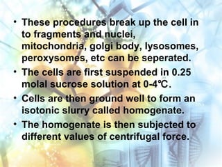 • These procedures break up the cell in
to fragments and nuclei,
mitochondria, golgi body, lysosomes,
peroxysomes, etc can be seperated.
• The cells are first suspended in 0.25
molal sucrose solution at 0-4℃.
• Cells are then ground well to form an
isotonic slurry called homogenate.
• The homogenate is then subjected to
different values of centrifugal force.
 