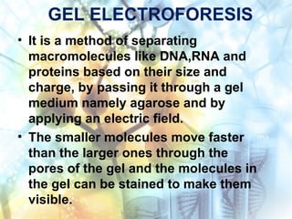 GEL ELECTROFORESIS
• It is a method of separating
macromolecules like DNA,RNA and
proteins based on their size and
charge, by passing it through a gel
medium namely agarose and by
applying an electric field.
• The smaller molecules move faster
than the larger ones through the
pores of the gel and the molecules in
the gel can be stained to make them
visible.
 