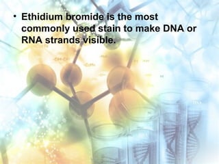 • Ethidium bromide is the most
commonly used stain to make DNA or
RNA strands visible.
 