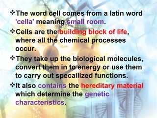 The word cell comes from a latin word
'cella' meaning small room.
Cells are the building block of life,
where all the chemical processes
occur.
They take up the biological molecules,
convert them in to energy or use them
to carry out specailized functions.
It also contains the hereditary material
which determine the genetic
characteristics.
 