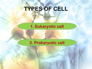 TYPES OF CELL
1. Eukaryotic cell
2. Prokaryotic cell
 