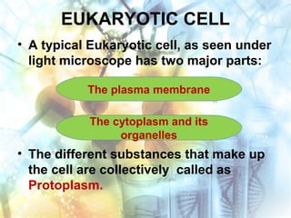 EUKARYOTIC CELL
• A typical Eukaryotic cell, as seen under
light microscope has two major parts:
• The different substances that make up
the cell are collectively called as
Protoplasm.
The plasma membrane
The cytoplasm and its
organelles
 