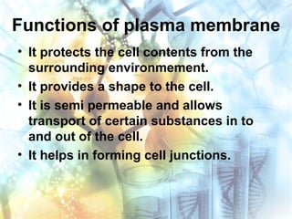 Functions of plasma membrane
• It protects the cell contents from the
surrounding environmement.
• It provides a shape to the cell.
• It is semi permeable and allows
transport of certain substances in to
and out of the cell.
• It helps in forming cell junctions.
 