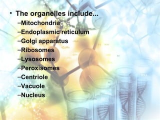 • The organelles include...
–Mitochondria
–Endoplasmic reticulum
–Golgi apparatus
–Ribosomes
–Lysosomes
–Peroxisomes
–Centriole
–Vacuole
–Nucleus
 