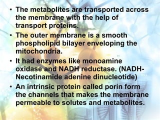 • The metabolites are transported across
the membrane with the help of
transport proteins.
• The outer membrane is a smooth
phospholipid bilayer enveloping the
mitochondria.
• It had enzymes like monoamine
oxidase and NADH reductase. (NADH-
Necotinamide adenine dinucleotide)
• An intrinsic protein called porin form
the channels that makes the membrane
permeable to solutes and metabolites.
 